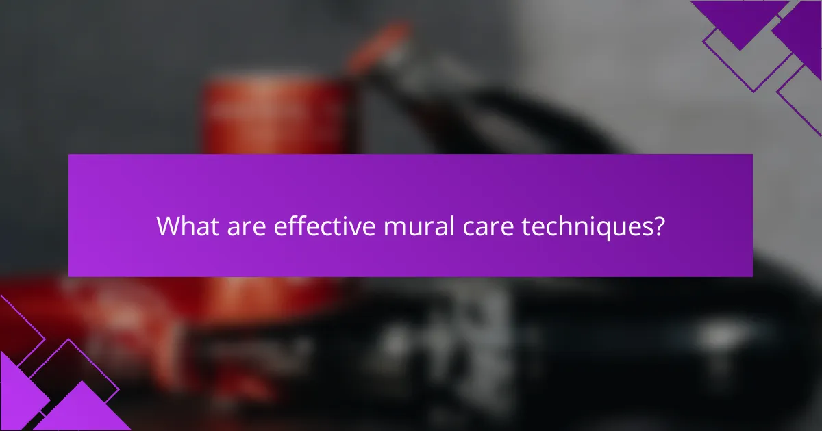 What are effective mural care techniques?