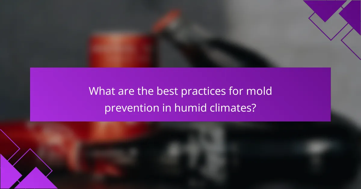 What are the best practices for mold prevention in humid climates?