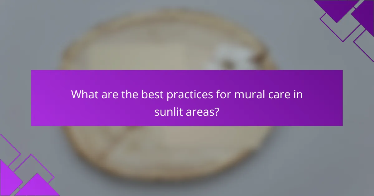 What are the best practices for mural care in sunlit areas?