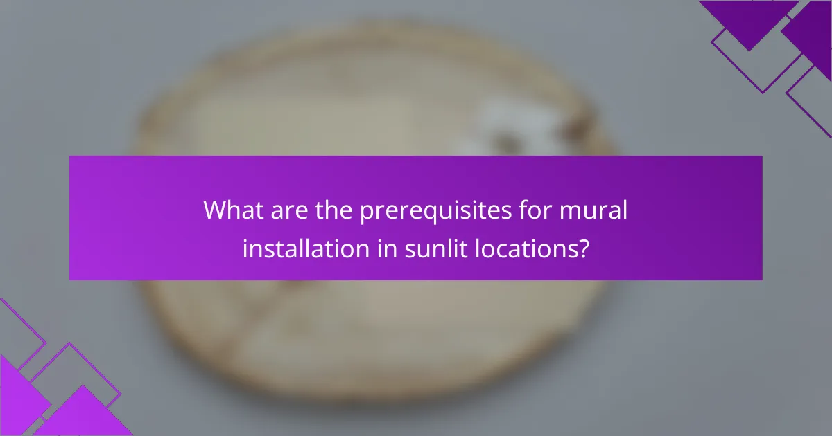 What are the prerequisites for mural installation in sunlit locations?