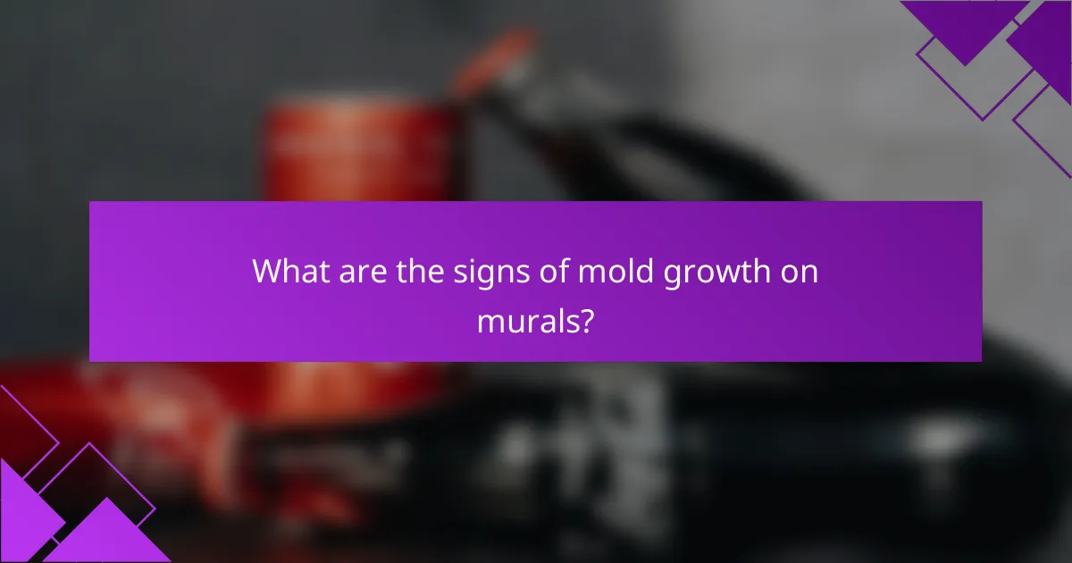 What are the signs of mold growth on murals?